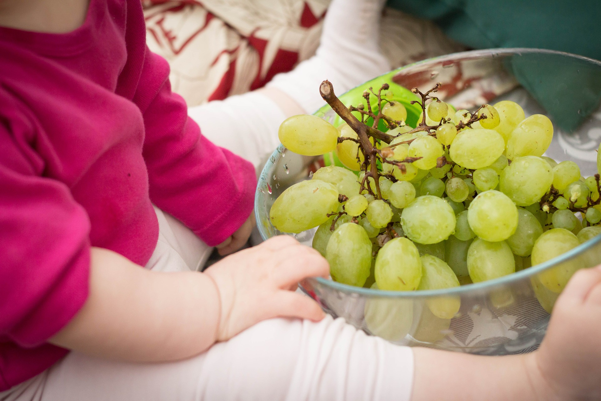 Grožđe za bebe – Uvođenje grožđa u bebinu ishranu & Recepti za bebe sa grožđem